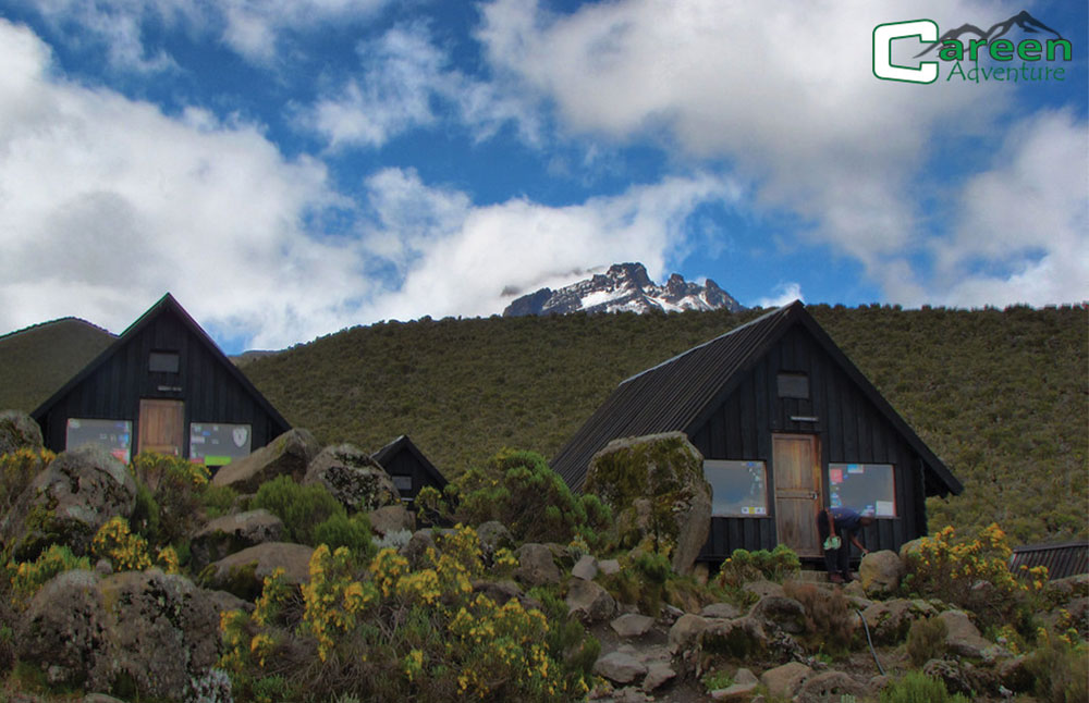 Kilimanjaro Trekking