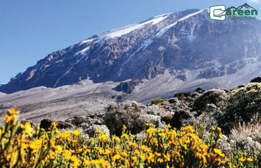 6 Days Lemosho -Kilimanjaro Trekking