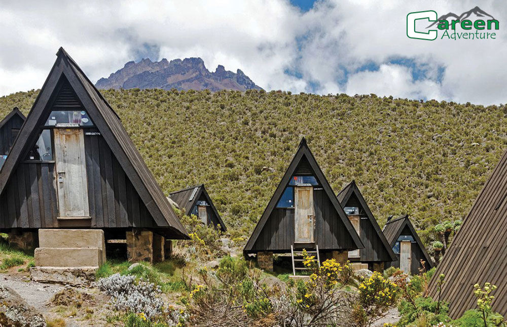 Kilimanjaro Trekking