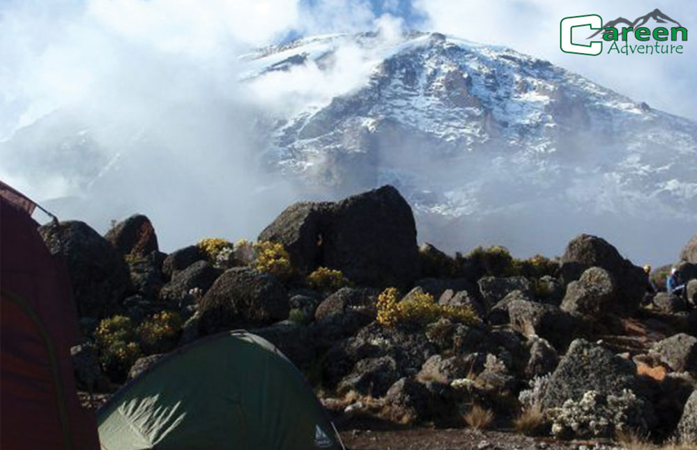 7 Days Lemosho -Kilimanjaro Trekking